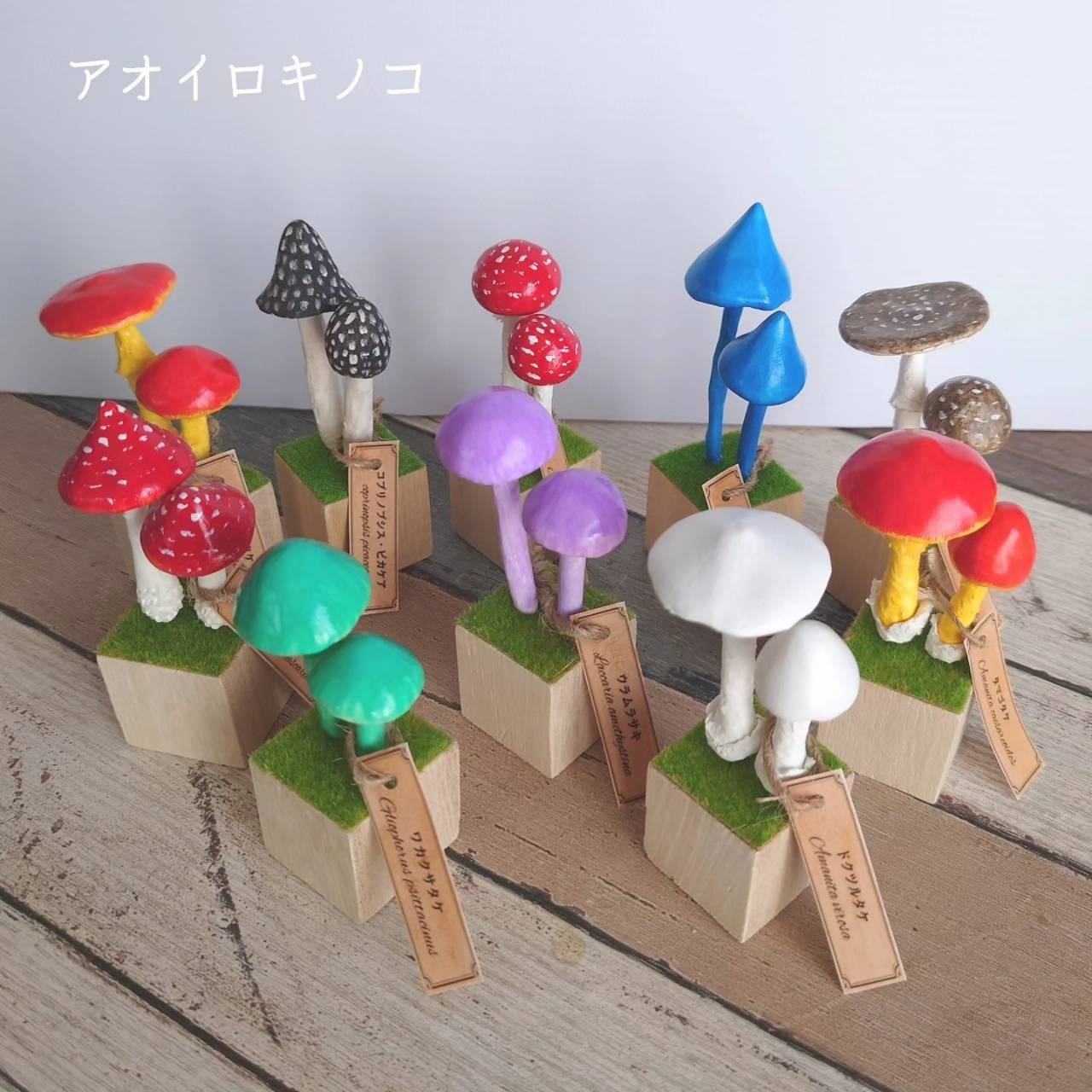 アオイロキノコ